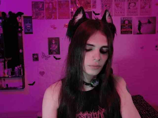 KittenDark