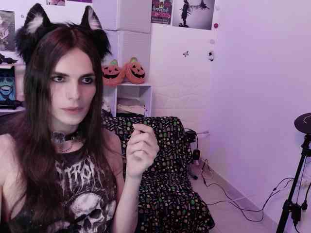 KittenDark