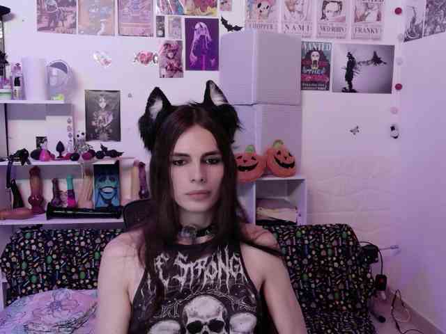 KittenDark