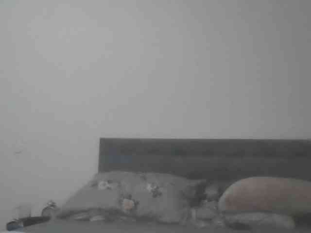 Sandyforyou webcam