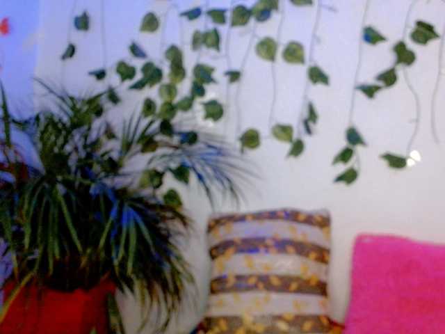 Sabrinaolsons's BongaCams show and profile