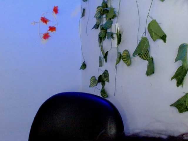 Sabrinaolsons live cam on BongaCams