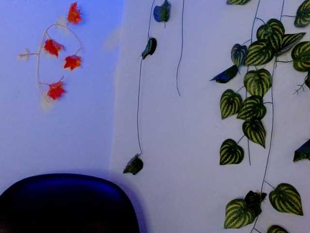 Sabrinaolsons live cam on BongaCams