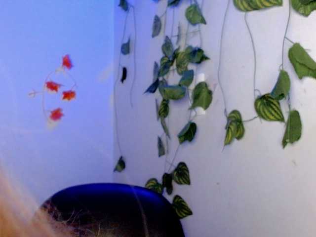 Sabrinaolsons live cam on BongaCams