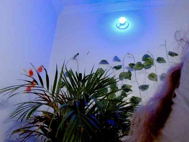 Sabrinaolsons webcam