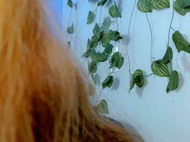 Sabrinaolsons webcam