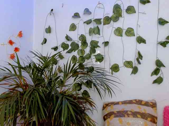 Sabrinaolsons webcam