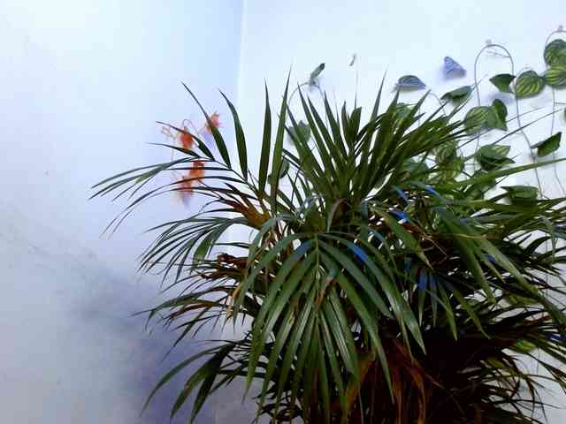 Sabrinaolsons webcam