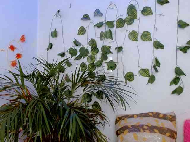 Sabrinaolsons webcam