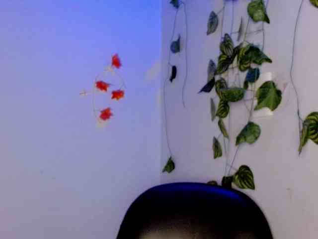 Sabrinaolsons webcam