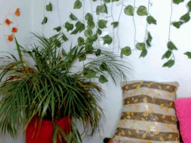 Sabrinaolsons webcam