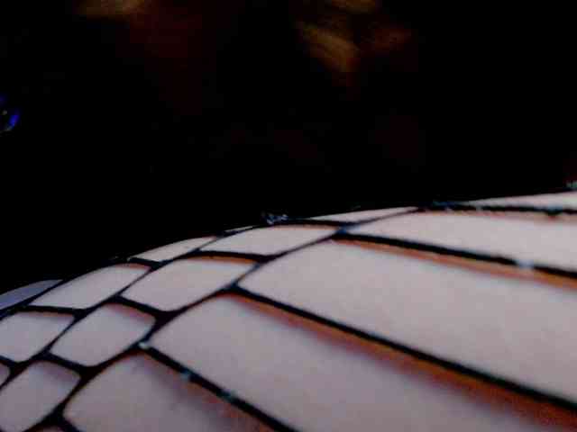 Sabrinaolsons webcam