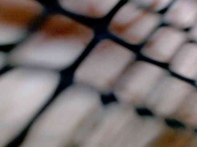 Sabrinaolsons webcam