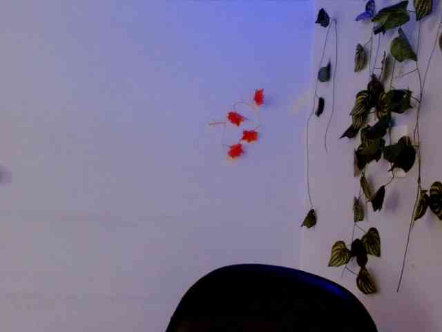 Sabrinaolsons webcam
