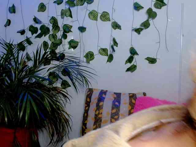 Sabrinaolsons webcam