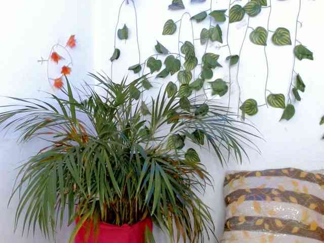 Sabrinaolsons webcam