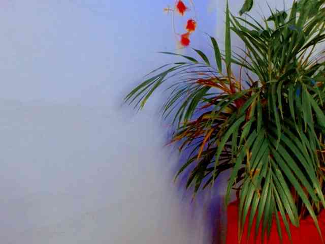 Sabrinaolsons webcam