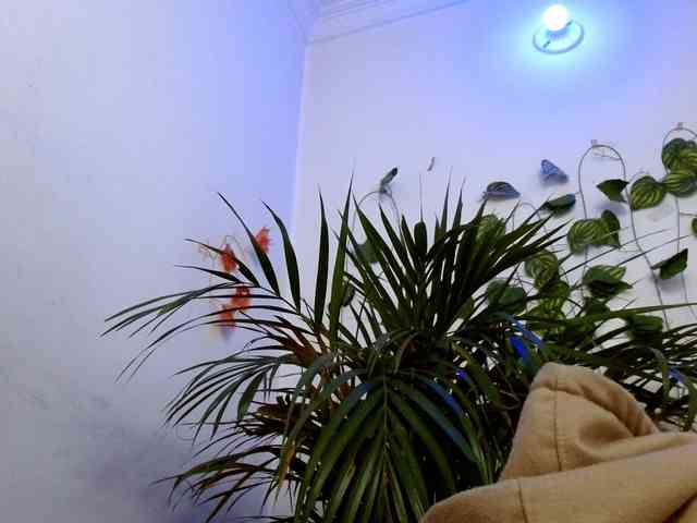 Sabrinaolsons webcam