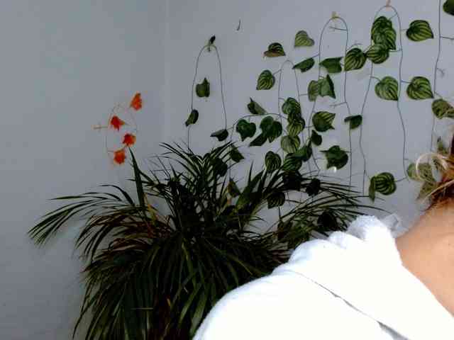 Sabrinaolsons webcam