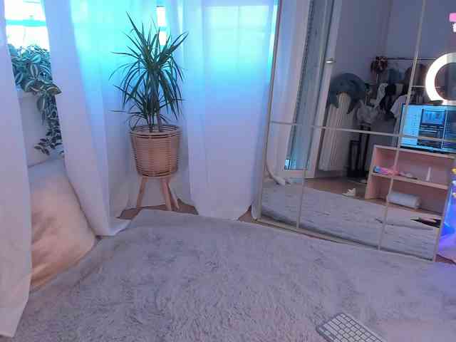 seily webcam