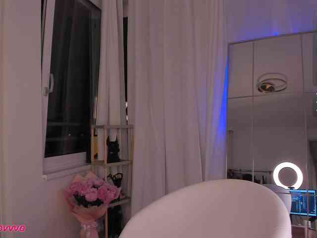 seily webcam