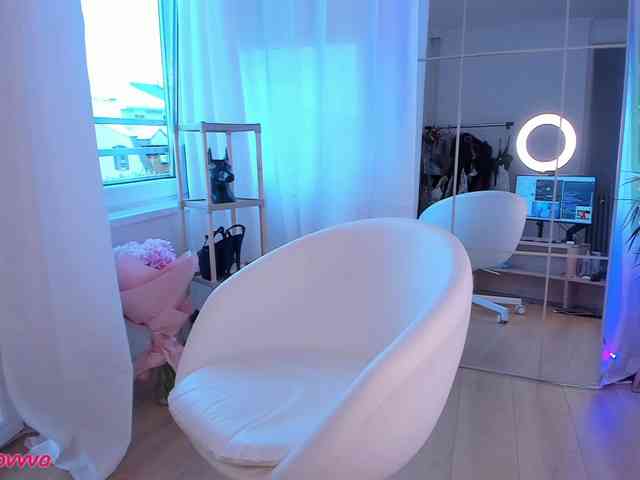 seily webcam