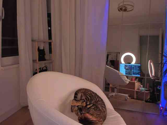 seily webcam