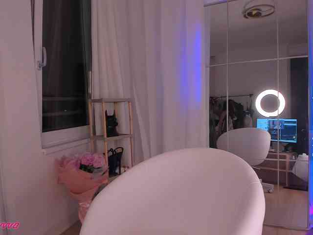 seily webcam