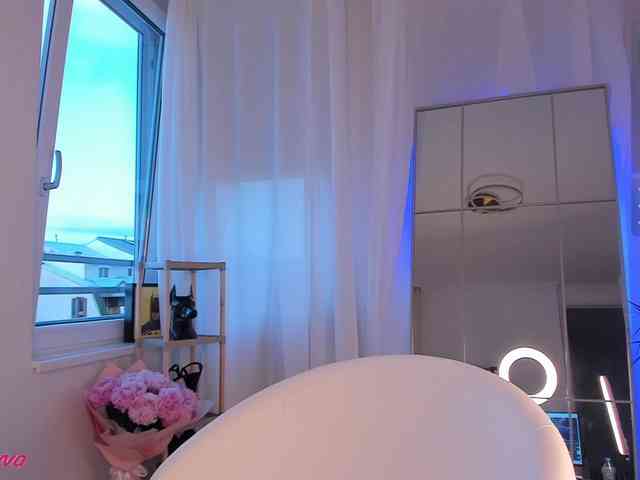 seily webcam