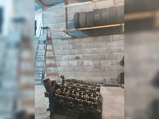 Gavi26rus
