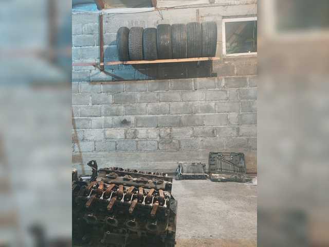 Gavi26rus
