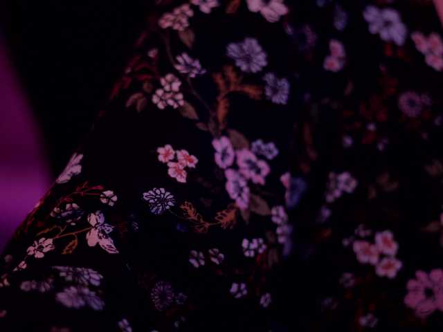 DianaMurr's BongaCams show and profile