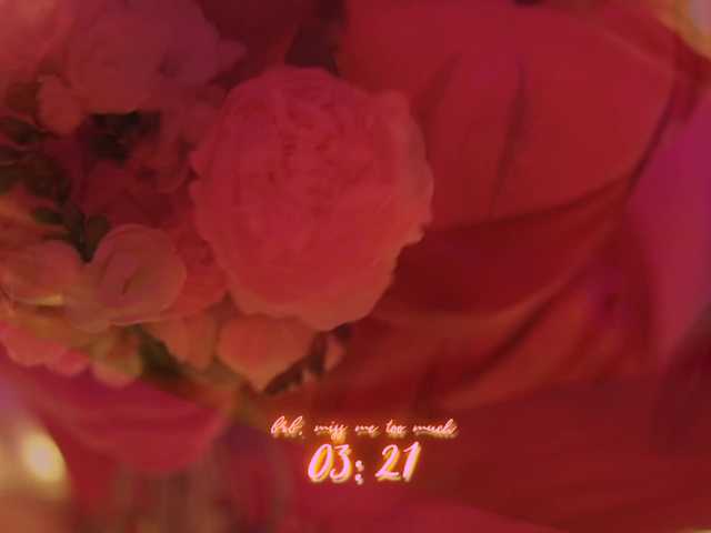 DianaMurr's BongaCams show and profile