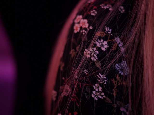 DianaMurr's BongaCams show and profile