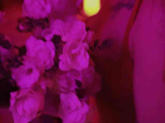 D_i_aM webcam