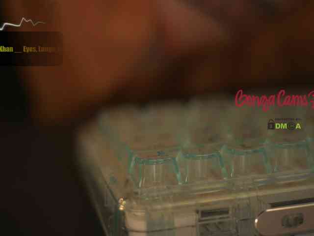 D_i_aM webcam