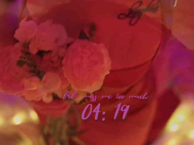 D_i_am's cam show statistics and live stream