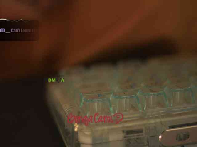 D_i_aM webcam