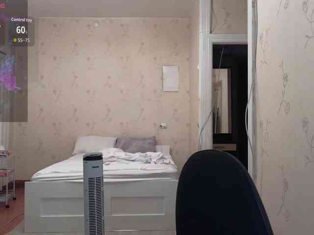 Vlada-08 webcam