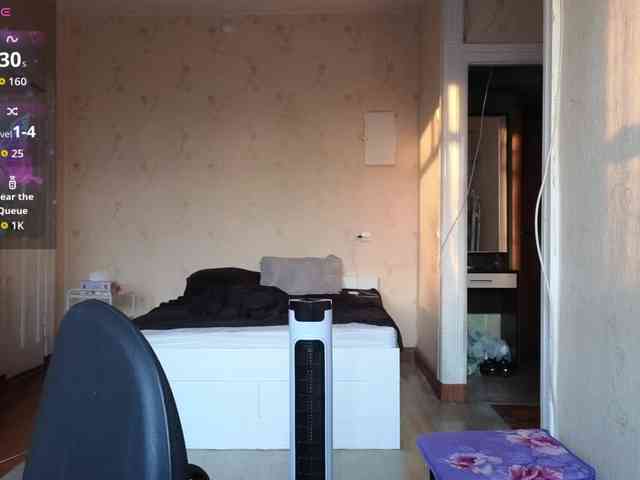 Vlada-08 webcam