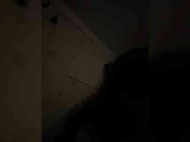 Vlada-08 webcam
