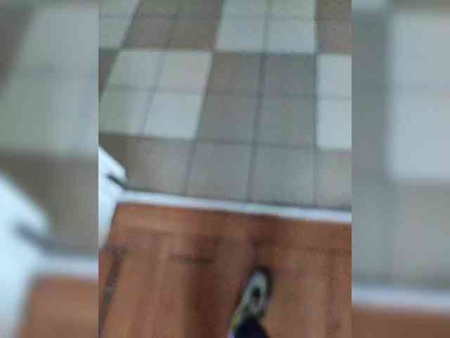 Fit0011