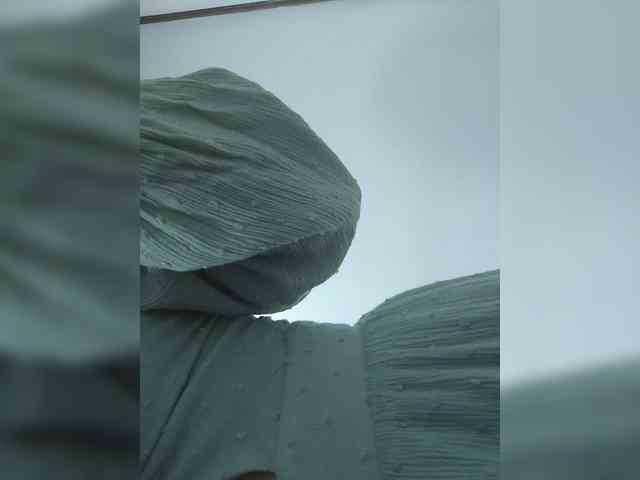 Anmazing webcam