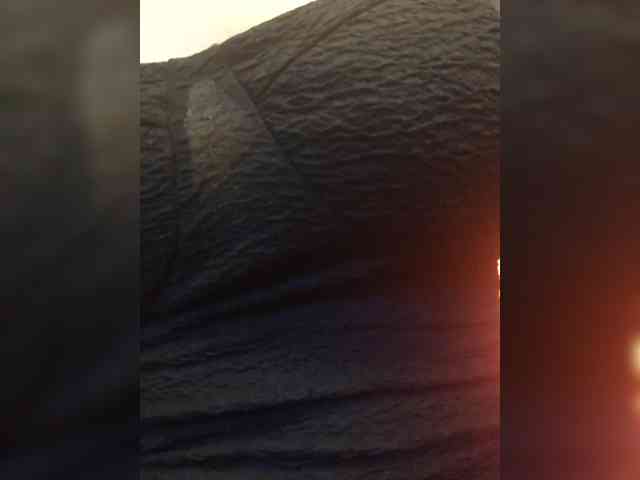 Anmazing webcam