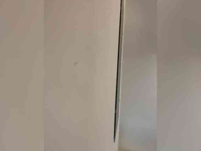 Lu-Mars webcam