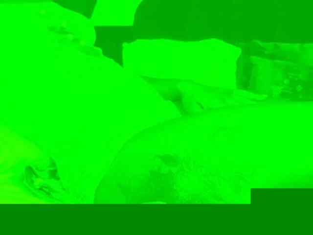 chocopetite webcam