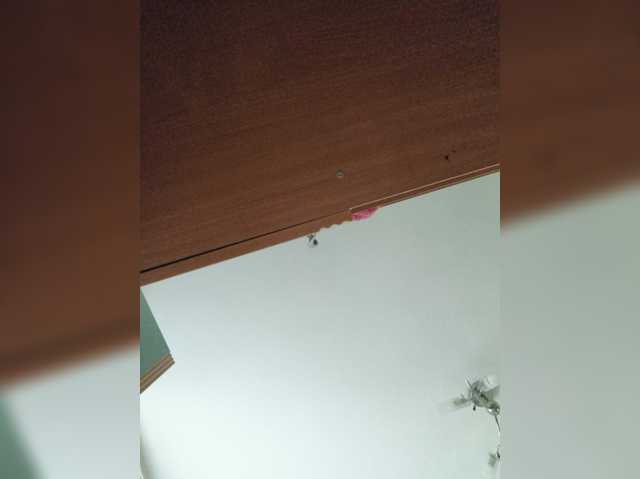 Sweet_Symphony live cam preview