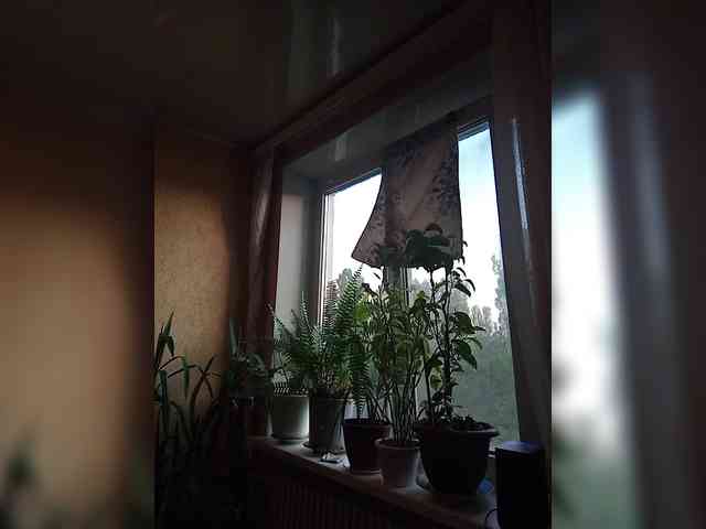 Sweet_Symphony webcam