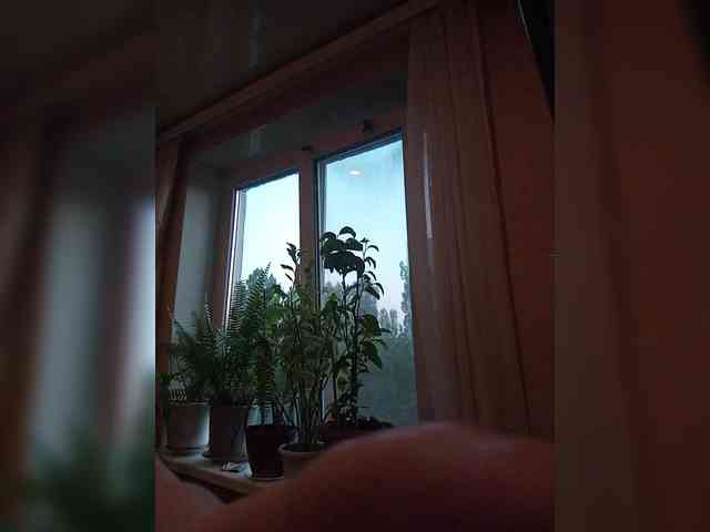 Sweet_Symphony webcam