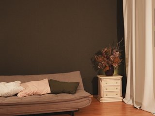 _ILSO_ Porn Show